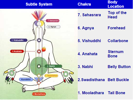 chakras-position-sahaja-yoga