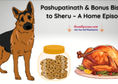  Pashupatinath & Bonus Biscuits to Sheru – A Home Episode